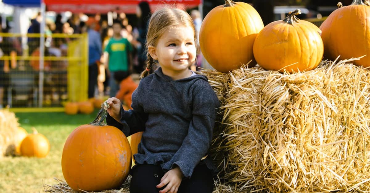 PumpkinFest 2024 Enhance West Van